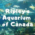 トロント１の水族館！Ripley’s Aquarium of Canadaへ【CityPass利用その２】